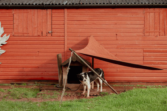 A Farmer First, a Storyteller Second