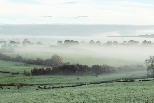 Celebrating Christmas the British Way: Regional Traditions and Modern Twists