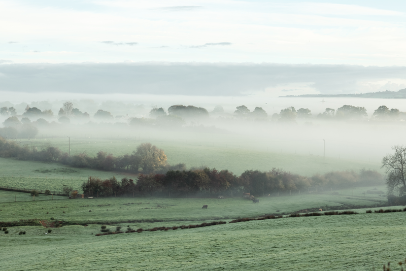 Celebrating Christmas the British Way: Regional Traditions and Modern Twists