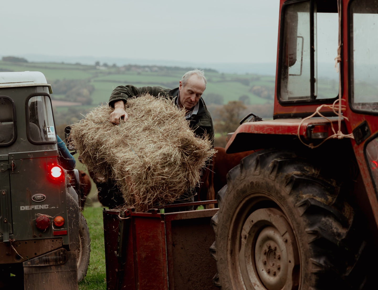 Online Butchers