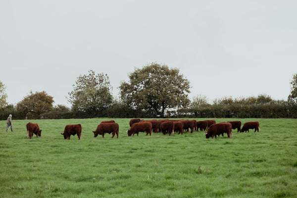 The business moved off the farm