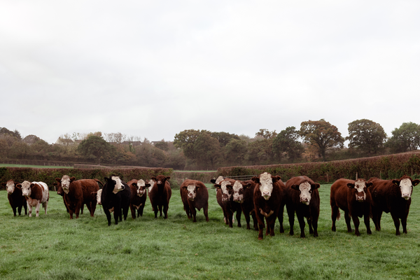 The business moved off the farm