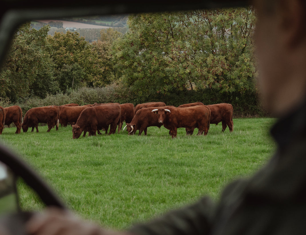 The Family Farm at the Heart of Pipers - UK – Pipers & Co