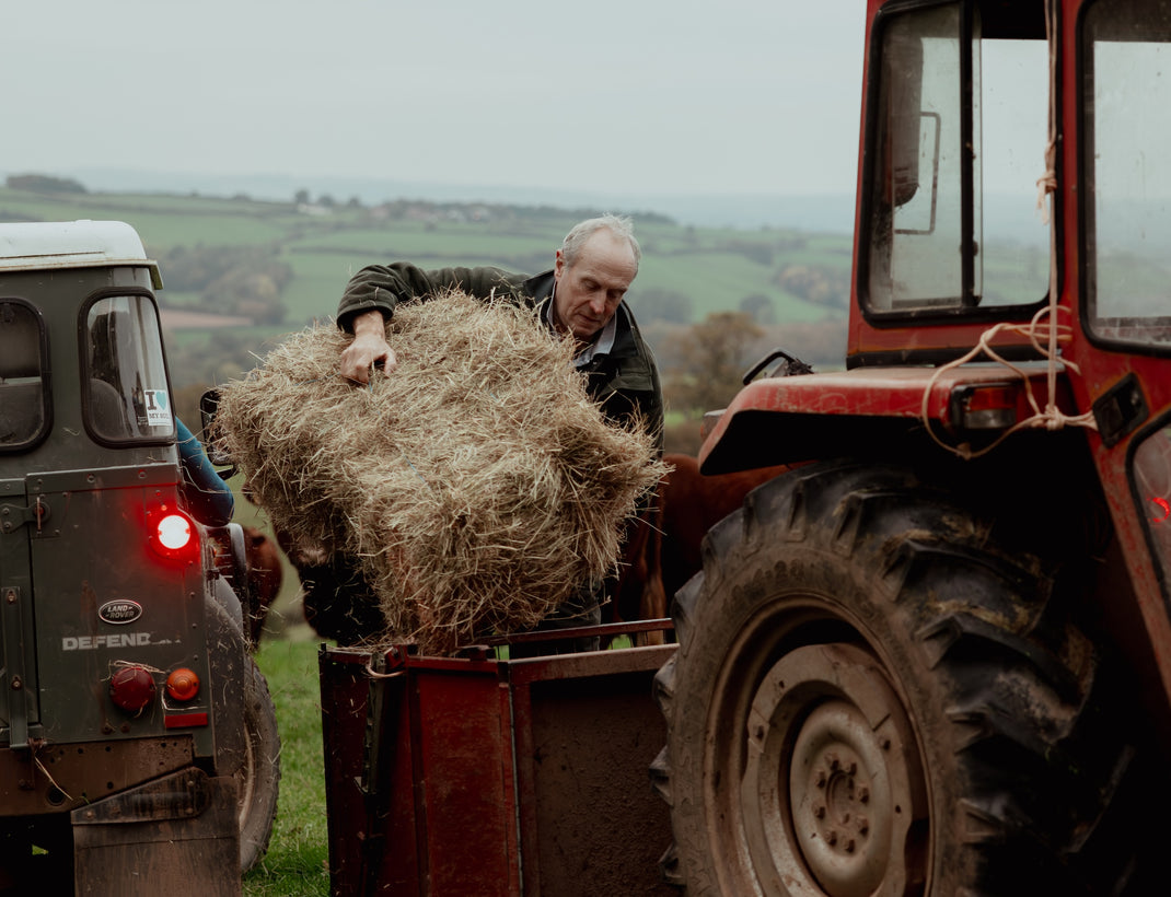 Lippering Farm The Family Farm at the Heart of Pipers - UK – Pipers & Co